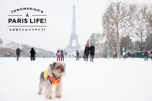 雪が好きなパリジェンヌはがっかり 今年のパリはあたたかい Paris Mag パリマグ