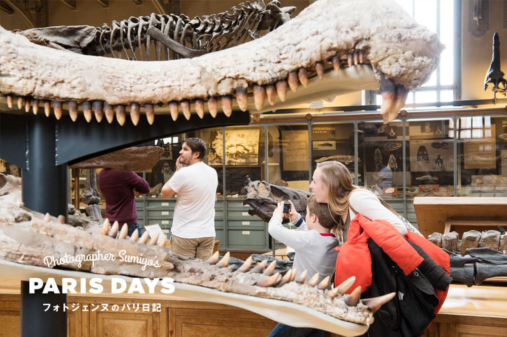 120年前から変わらぬ大迫力！建物も展示も楽しめるパリの恐竜博物館