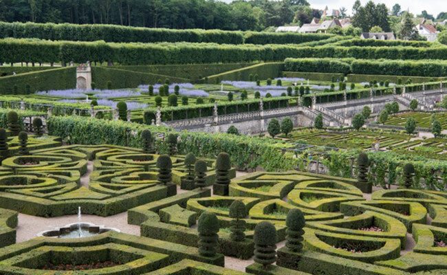 ヴィランドリー城とロワールのフランス庭園へふらっと週末旅行