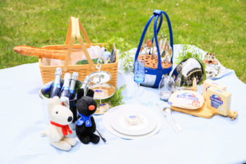 お庭でピクニック！「草上の昼食」でフランスの食文化を堪能