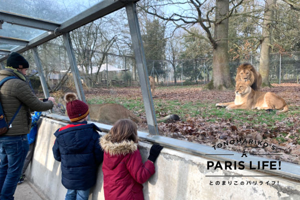 フランスの動物園はまるで人間が閉じ込められているよう トワリー動物園へ Paris Mag パリマグ