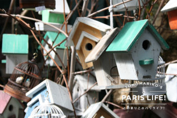 パリのシテ島には日曜日になると小鳥市が登場！