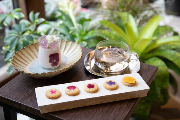 上町のボタニカルカフェ『くるみどり』 | PARIS mag パリマグ