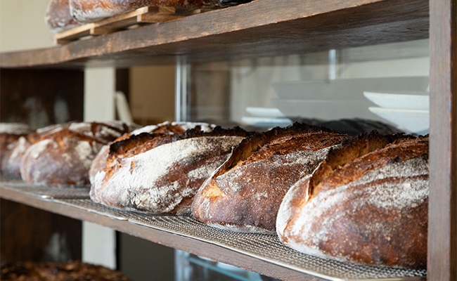 「ゆめかおり」「ねばりごし」…パンの名前は「小麦粉の品種」。小麦本来の個性と魅力を味わう