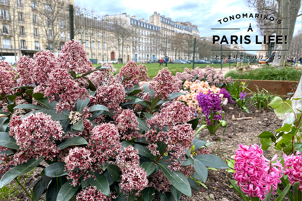 春のパリは“レンタル花壇”に注目！パリ市民自らが作り出す美しい花壇