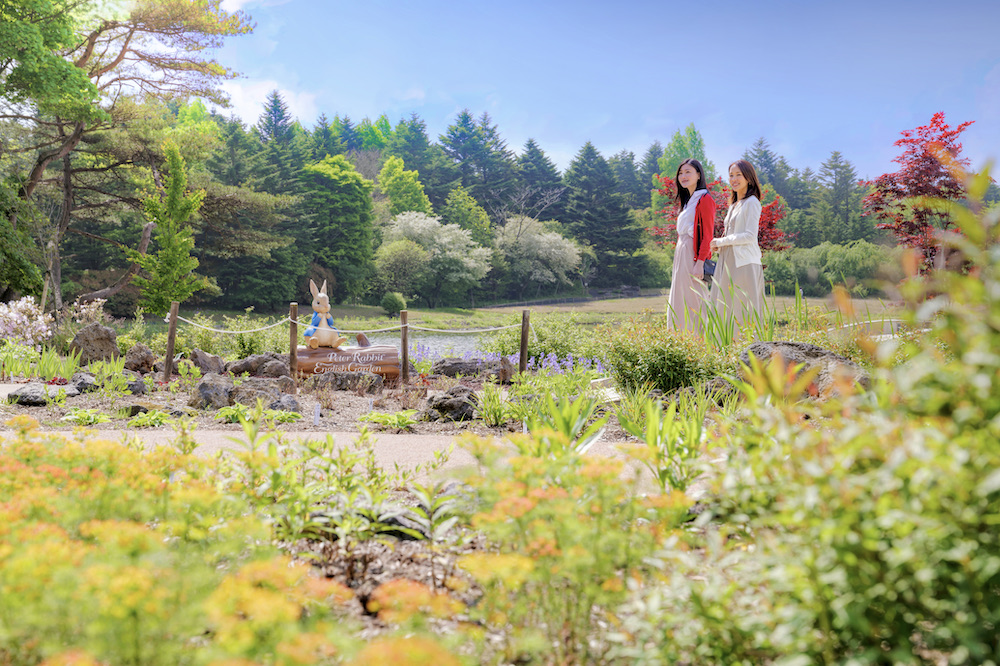 首都圏最大級の英国式庭園がオープン！富士本栖湖リゾートで『ピーターラビット™イングリッシュガーデン』