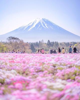 富士桜祭りフォトコンテスト
